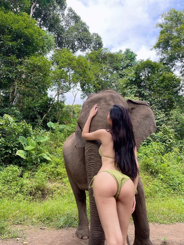 人与自然 - 就是阿朱啊